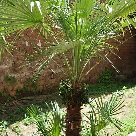 Domus Rosetta Romana Con Giardino *